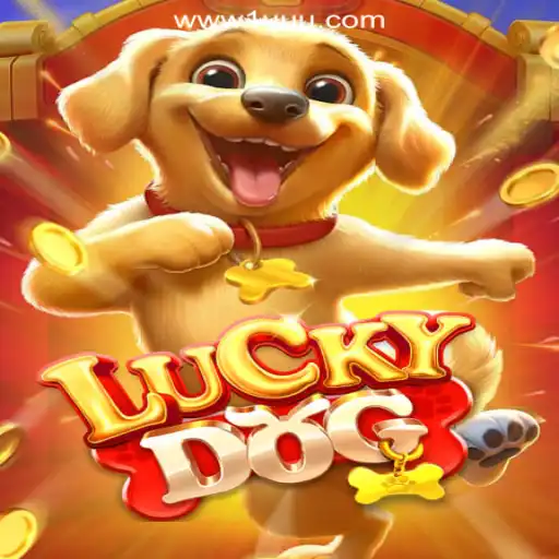 Exploring LuckyDog: The Premier Game at 1UUU.COM Online Cassino Brasil #1